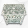 Bone Inlay Bedside Floral 1 Drawer 1 Door Sage Green 2