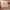 Bone Inlay Fishscale Chest Of 7 Drawers Orange