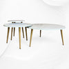 Bone Inlay Floral Nesting Table Set of 3 Grey 1