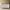 Floral MOP Inlay Low Cabinet 2 Door Nude Pink 1