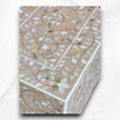 Floral MOP Inlay Low Cabinet 2 Door Nude Pink 3