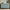 Flower Bone Inlay 6 Drawer Dresser Teal Green
