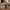 Rue Bone Inlay Round Dining Table Black