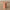 Rue Bone Inlay Round Dining Table Orange