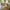 Sophie Hand Painted Bone Inlay 6 Seater Dining Table Set 7
