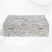 Floral Mother Of Pearl Inlay Box Ivory