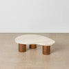 Single Nova low coffee table with a kidney-shaped top and three round legs