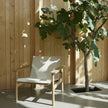 Pelago Teak Wood Lounge Chair beside a tree