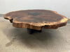 Side view of the Terra organic slab coffee table on its low base