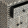 Black Bone Inlay Arctic Bedside 1 Drawer 2 Door Nightstand closeup